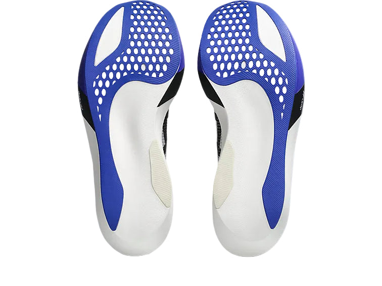 Asics Metaspeed Sky Tokyo