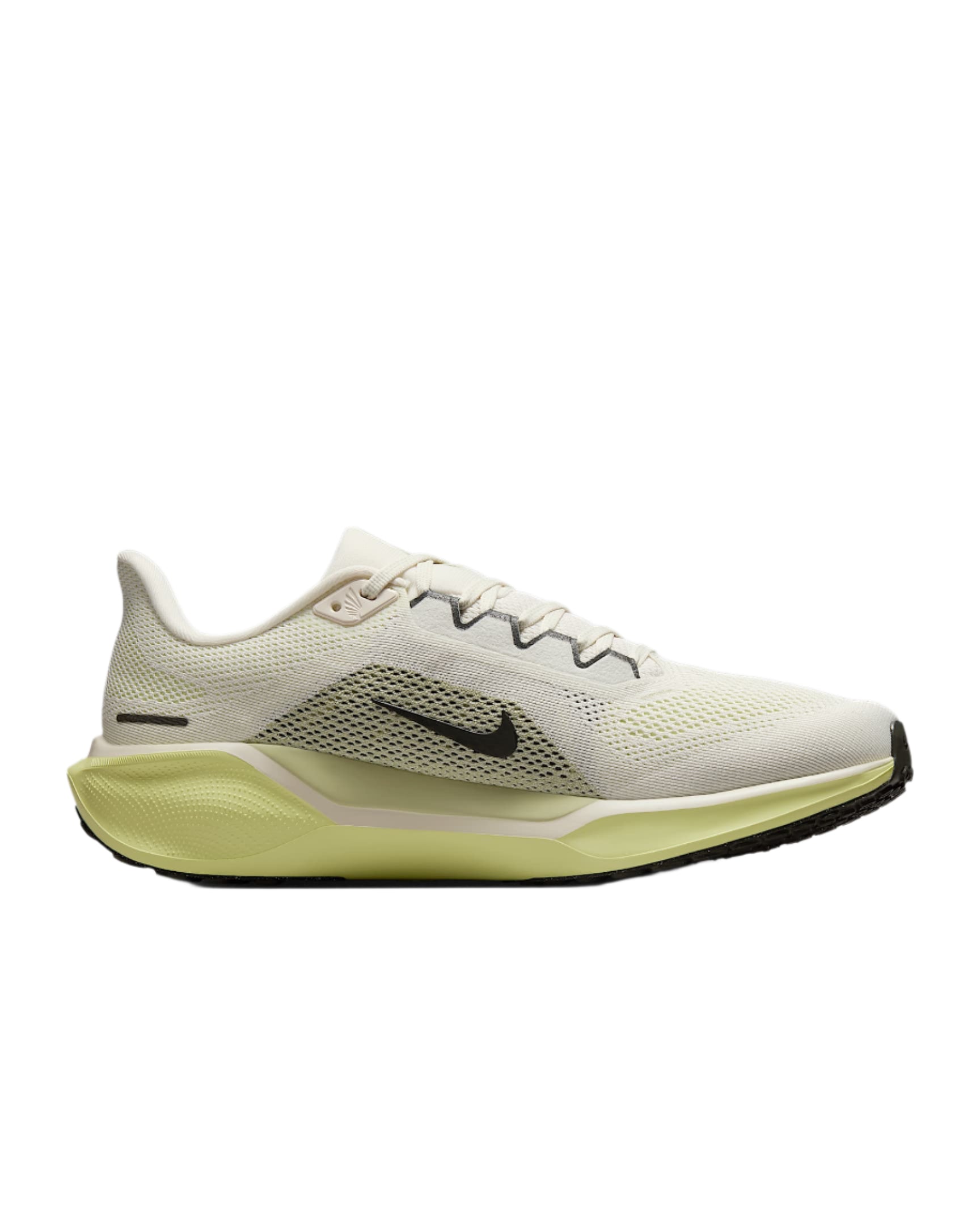 Men's Nike Pegasus 41