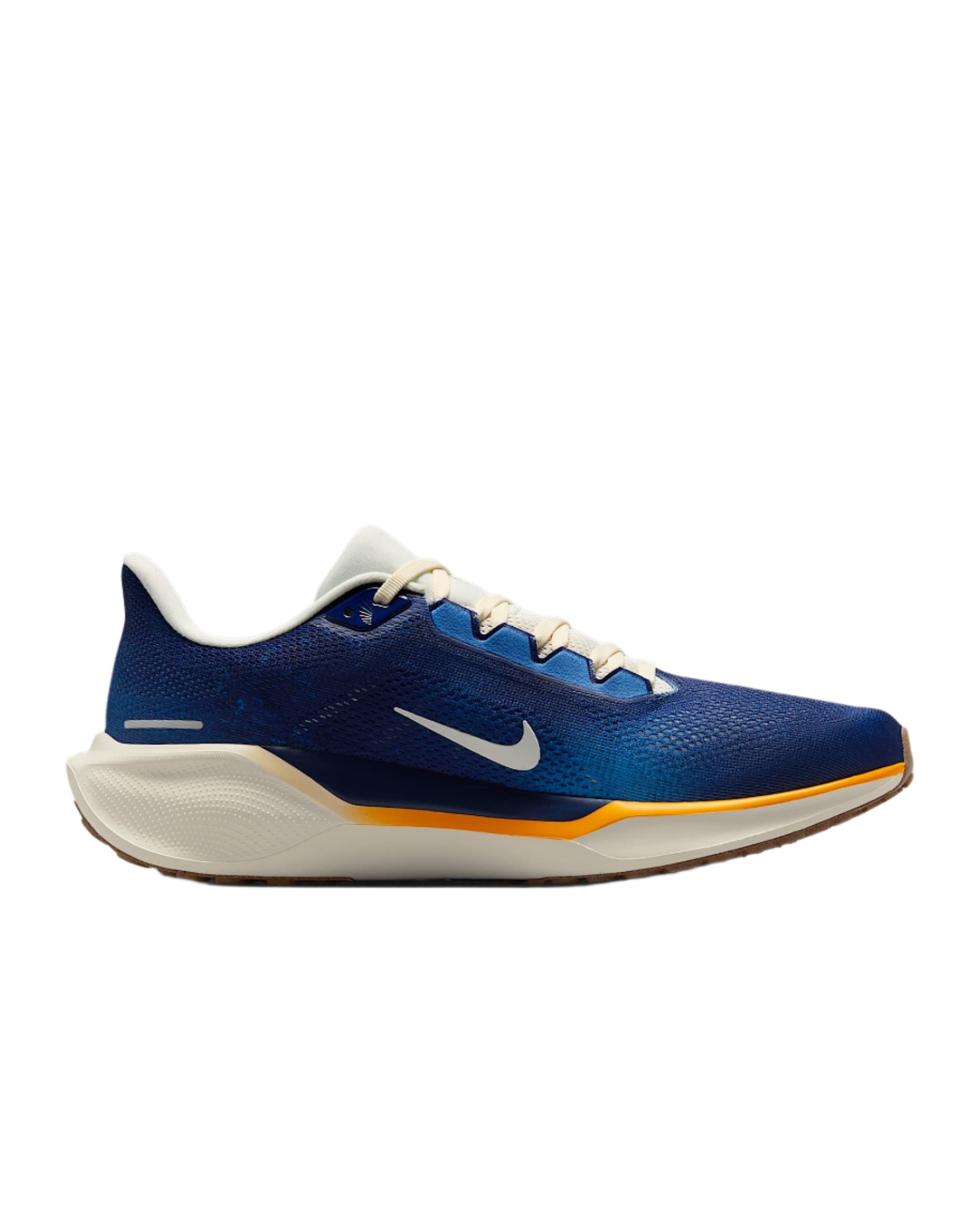 Men's Nike Pegasus 41